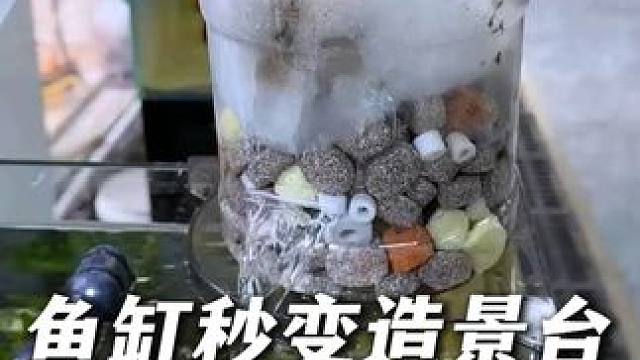 鱼缸的边角不要浪费，放上这个鱼缸转角置物架就可以秒变造景台！ #养鱼日记 #鱼缸置物架 #鱼缸转角置