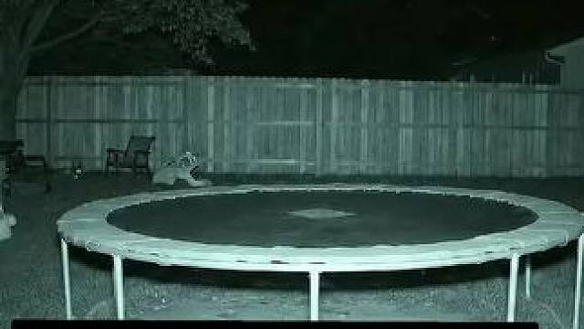 我发布了一个新视频，快来围观吧！