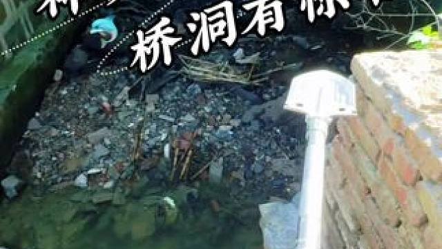 神秘桥洞有惊喜 #抽水#抓鱼#户外抽水#户外抓鱼#户外