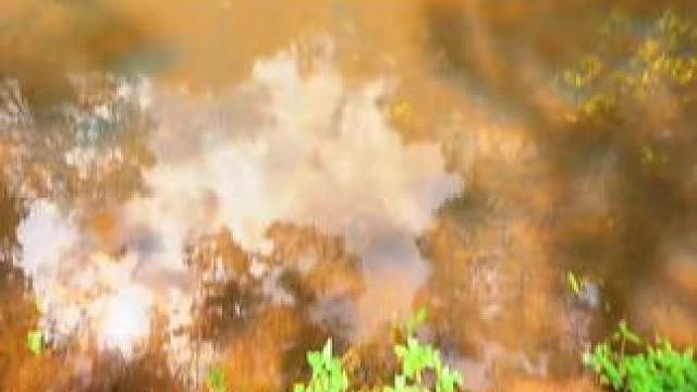 你以为是支钢笔，其实。。 #鱼竿 #玩个很新的东西