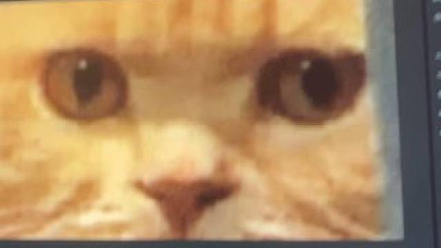 哭哭哭哭哭了了了了了了