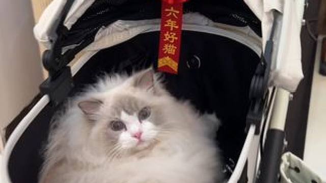 请大家暂停一下手中的工作～恭喜这位福女士喜提新车！ #万物可爱计划 #记录和它的每个夏天