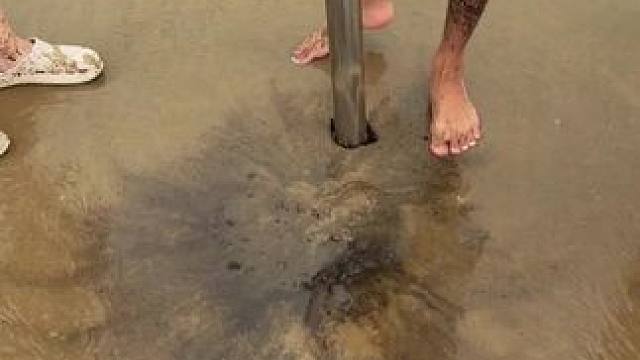 #新农人计划 #赶海赶海赶海啦 #赶海生活 #户外赶海抓海鲜