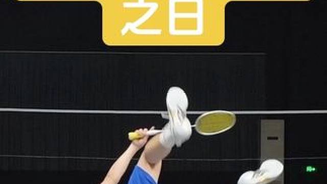 是金子终有发光之日
#羽毛球 #薰风k520pro➕银刃 #薰风银刃 #羽毛球训练