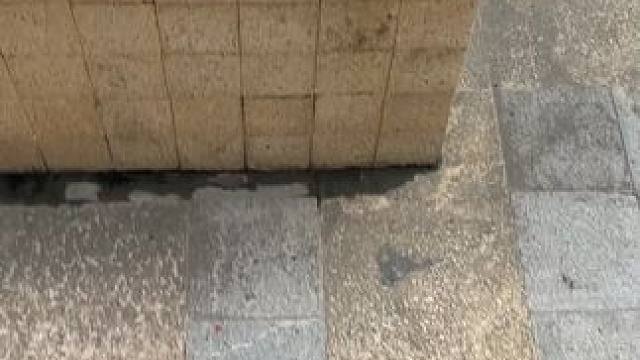 这个我能玩一整天~ #玩个很新的东西