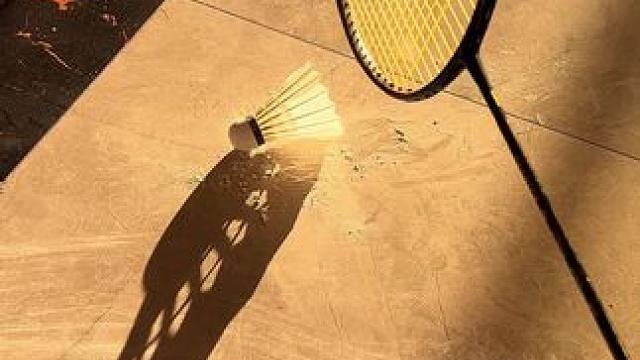 林丹杯捡球冠军报到！#羽毛球捡球 #浦锐狂徒SS