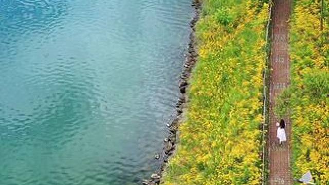 漫步天桥沟，人在画中游！红顶白墙黄花海，碧湖倒影胜油画！ 