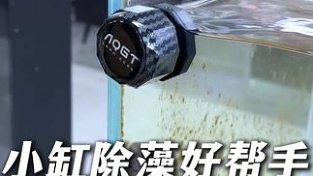 这个AQGT的纽扣式磁力刷专为小鱼缸设计，个头小吸力大！ 外刷擦污渍，内刷除水藻，用完往边角一放还不