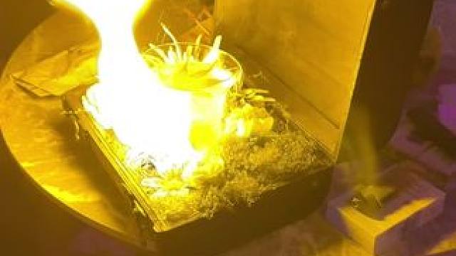 玩主聚集的地方 沙区经开区有这么一家真值了#乌鲁木齐酒吧 #乌鲁木齐酒吧推荐 #野兽派 #乌鲁木齐演