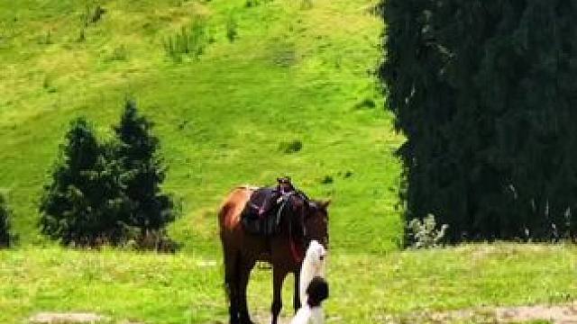 用国风舞蹈安利最美城市~