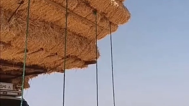 他们是按趟算钱，装的越多越合适