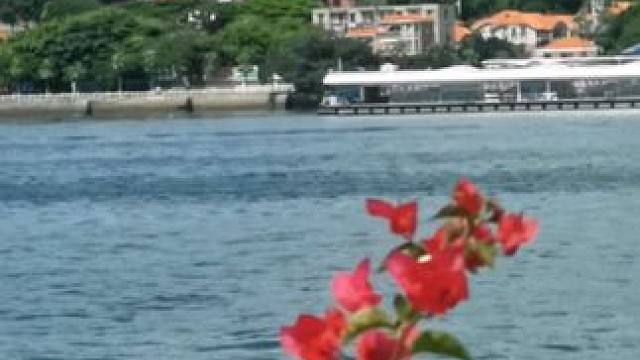 #鼓浪屿#厦门风景#手机摄影。