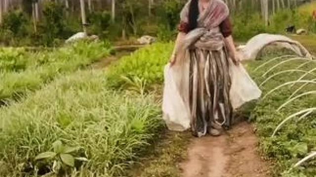 山卡卡里的农村大姐学费了开直播每天收获满满您还在恐播怕播不敢开播开播了不知说什么吗#记录真实生活 #