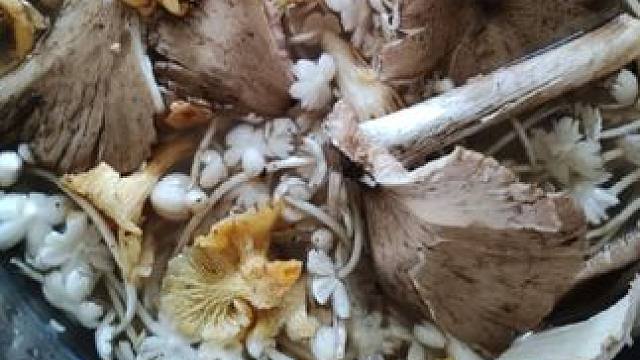 我发布了一个新视频，快来围观吧！