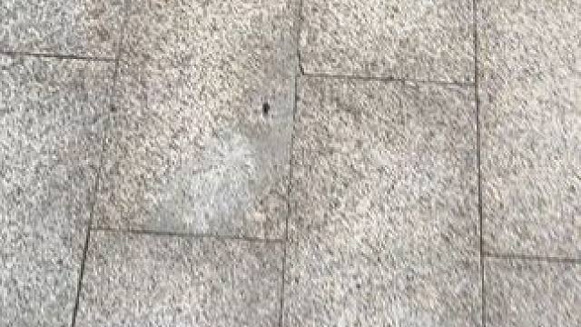 这个我能玩一整天~ #玩个很新的东西