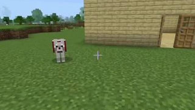 #我的世界 #MC 当我给狗做了狗洞后……#minecraft