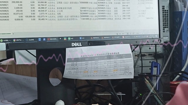 合规是企业的阳光道，小小创业企业合规管家