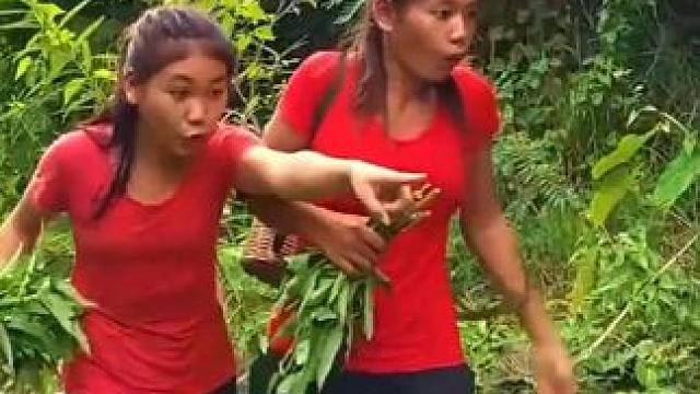 在丛林中烹饪辛辣的蜗牛 #逮鱼摸虾 #山间小溪 #大自然的馈赠