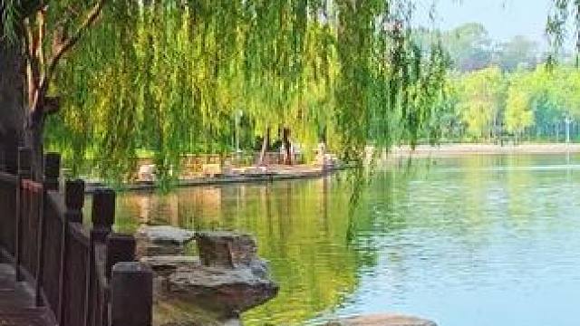 #湖边美景美如画