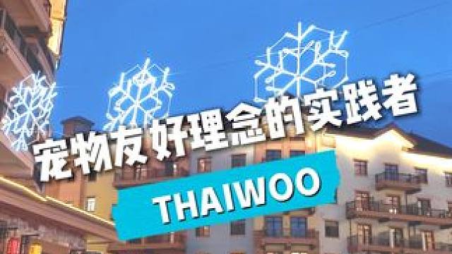 山不语 我们说 第七期 太舞源宿萌宠管理员#京郊最chill的遛娃方式#太舞小镇#太舞小镇21度的夏