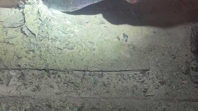 这就是专业。切啦在开窗。