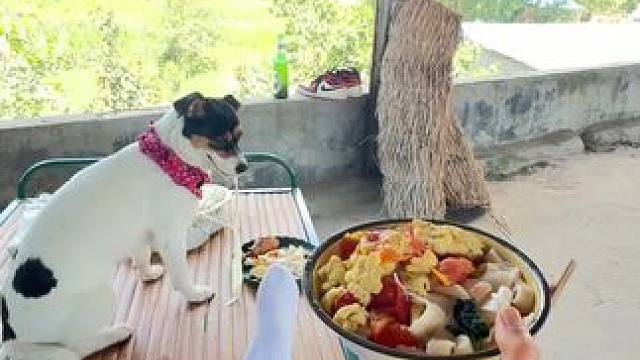 你家夏天吃啥呀
俺妈一句“不吃喂狗”我…….#我的乡村生活 #乡愁记忆 #农村生活