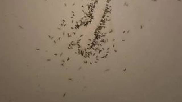 #搞笑 #吐槽 #抽象 #厕所 #卫生间