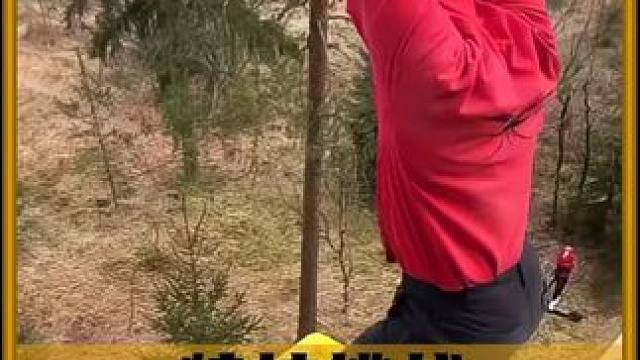 国外疯狂的特技挑战！ #内容启发搜索