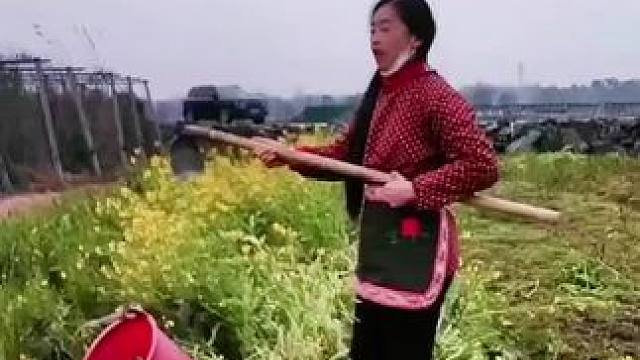 山卡卡里的农村大姐学费了开直播每天收获满满您还在恐播怕播不敢开播开播了不知说什么吗#记录真实生活 #