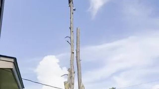 我发布了一个新视频，快来围观吧！