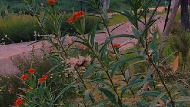 #落日余晖映晚霞一抹夕阳美如画