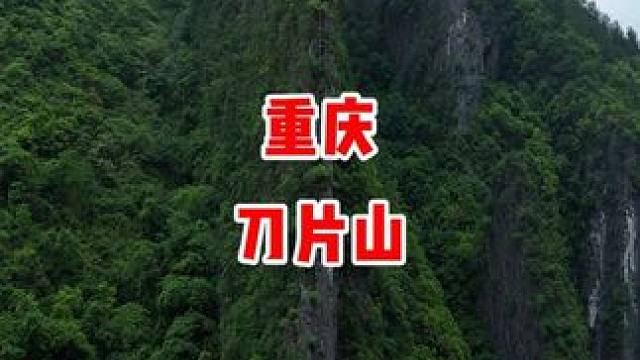 神奇的重庆刀片山，超薄型，大自然的鬼斧神工令人惊叹不已。#自然奇观 #刀片山 #旅行推荐官 #航拍中