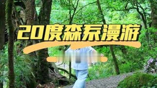 闯进20度奇幻森林，瀑布下扑面而来的水汽与壮阔，是夏天的味道，周末龙苍沟等你呀#成都避暑圣地 #很哇