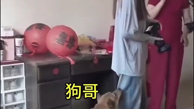 我要有这脸皮，孩子都二胎了[捂脸]