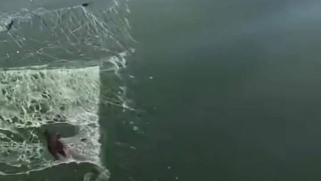 #户外捕鱼大队 #捕鱼河边随拍 #捕捞现场  #丝网捕鱼