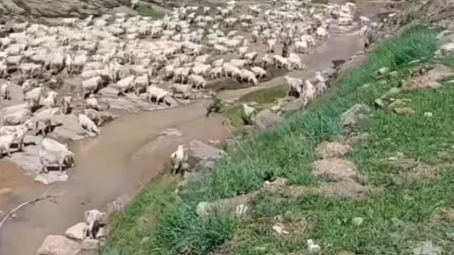 记录养殖人的真实生活