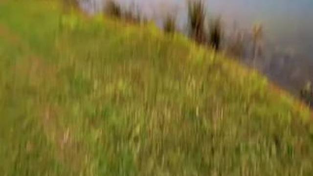 你以为是只钢笔，其实是。。 #鱼竿