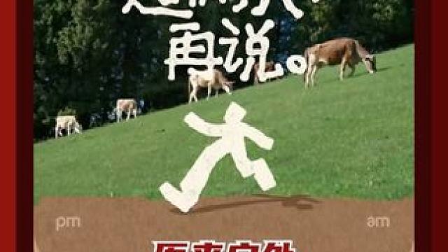 #原来户外才是保持活人感的秘诀 #好想这么自由自在的活一次 #明星断联式户外有多野  #48小时无信