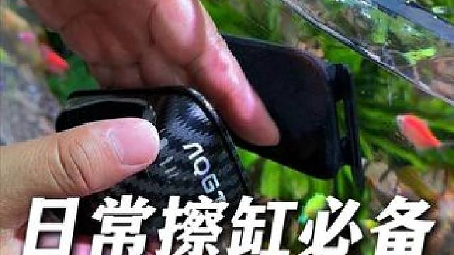 如果你家鱼缸不便宜，这个鱼缸除藻清洁磁力刷可以看看！ #鱼缸清洁工具 #鱼缸除藻 #养鱼日记 #新手
