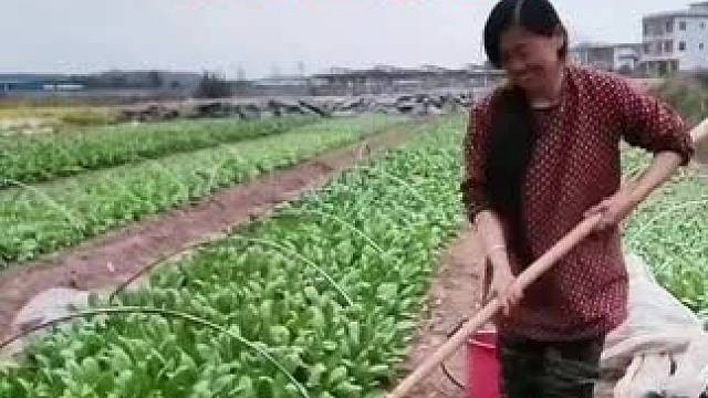 山卡卡里的农村大姐学费了开直播每天收获满满您还在恐播怕播不敢开播开播了不知说什么吗#记录真实生活 #