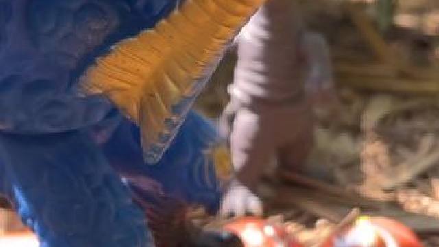 格丽乔奥特曼在竹林里遇到了两个怪兽#儿童玩具 #奥特曼玩具 #奥特曼