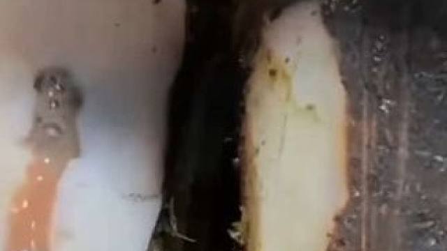 脚掌这种地方病变居然又被小哥遇到了一只#解压#修牛蹄