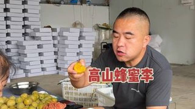 #应季水果 #优质农产品 #蜂蜜李 ，真正有蜂蜜味的李子，普遍糖度都是20多度，甜过初恋的李子