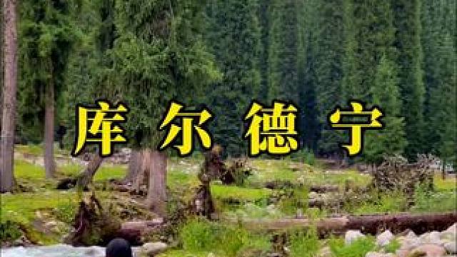 一山一水皆画圈，一草一木皆风情，不与日月争长短只与山水共清欢。#治愈系风景 #天然氧吧 #库尔德宁 