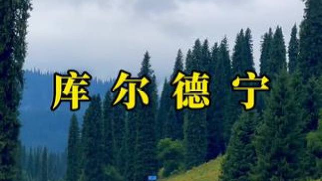 人生是旷野，没矿我也野 #自驾游 #新疆 #最美的风景在路上 #库尔德宁 #大自然美景