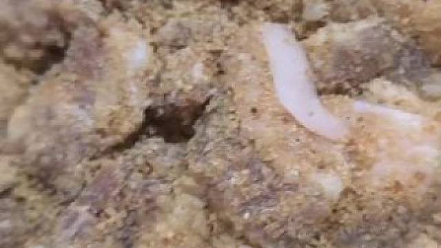 我发布了一个新视频，快来围观吧！