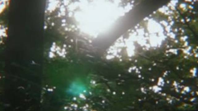 暑期实践进行时丨如果有一天我成为老师会是什么样子？种子在盛夏发芽（投稿来源：皖里鹏程支教队）#BNU