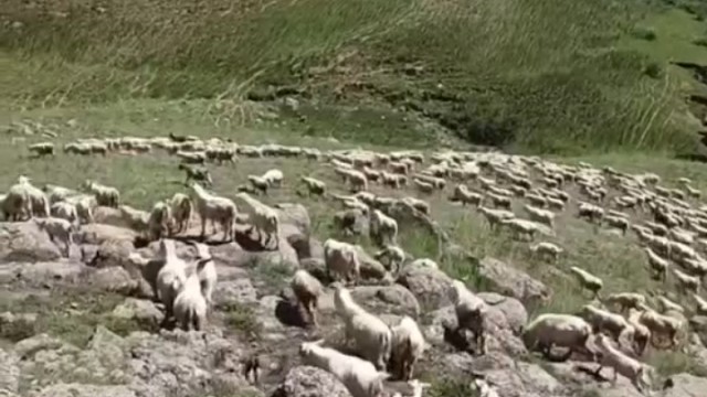 记录养殖人的真实生活