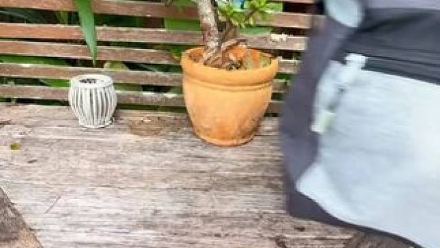 最后一个又方便携带又好用~ #鱼竿 #玩个很新的东西