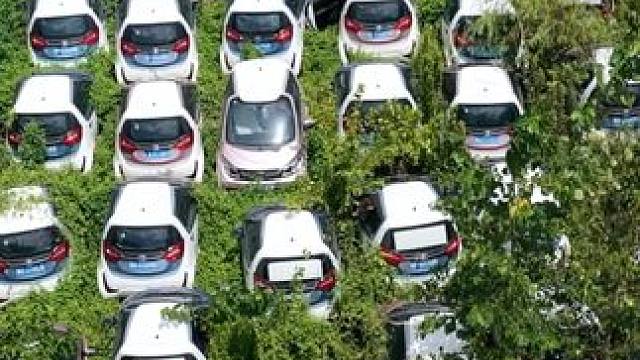 杭州惊现“汽车坟场”？上万辆众泰小汽车被丢弃，四周杂草丛生已覆盖车顶，太可惜了#废弃车  #汽车那些